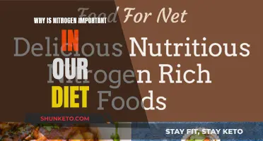 Nitrogen's Vital Dietary Role: What You Need to Know