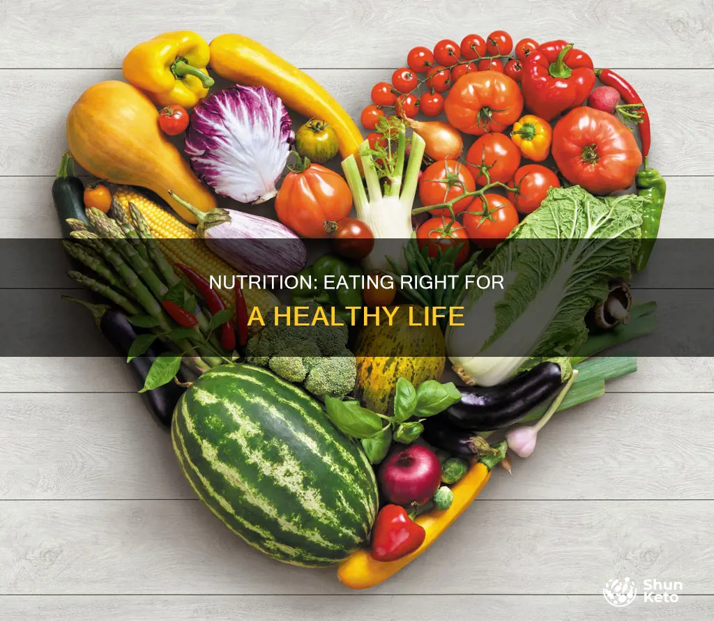 why is nutritous diet important
