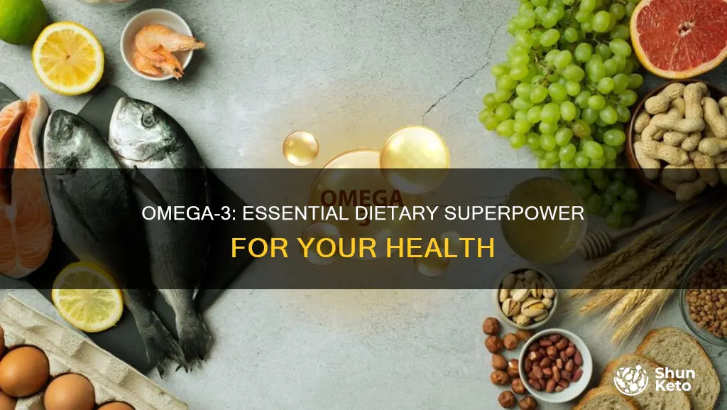 why is omega 3 important in our diet
