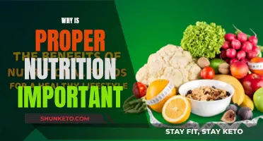 Nutrition: Foundation of a Healthy Life