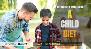 Protein for Kids: Building Blocks of Growth