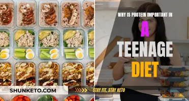 Protein Power: Teen Diet Essentials
