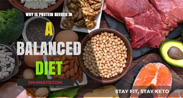 Protein Power: Why It's Essential in Your Diet