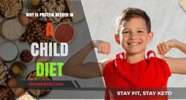 Protein for Children: Building Blocks of Growth