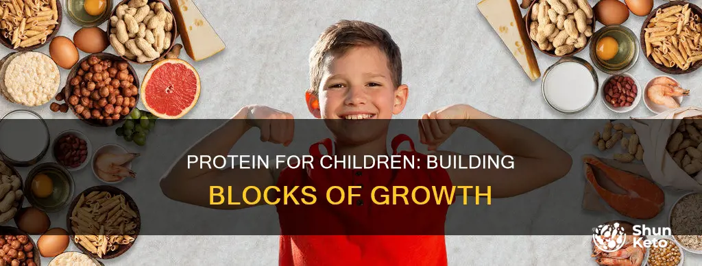 why is protein needed in a child diet
