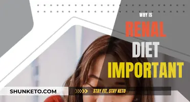 Renal Diet: Eating Right to Manage Kidney Health