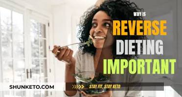 Reverse Dieting: A Sustainable Path to Weight Loss