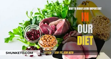 Riboflavin: Essential for Energy and Overall Health