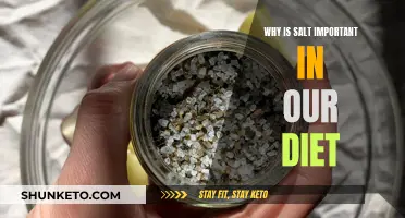 Salt: Essential Mineral for Human Health and Nutrition