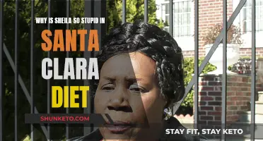 Sheila's Innocence in Santa Clara Diet: Why So Stupid?
