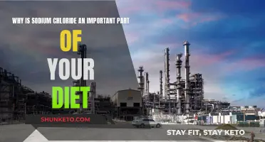Sodium Chloride: Essential for Your Body's Functioning