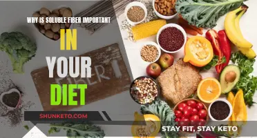 Soluble Fiber: Your Diet's Superpower