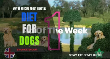 Crystal Diet: A Dog's Special Nutritional Need