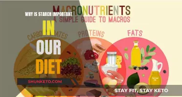 Starch: The Body's Preferred Energy Source