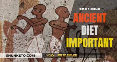 Ancient Diets: Unlocking Secrets of Our Past