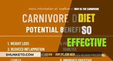 Carnivore Diet: Effective Weight Loss, But Why?