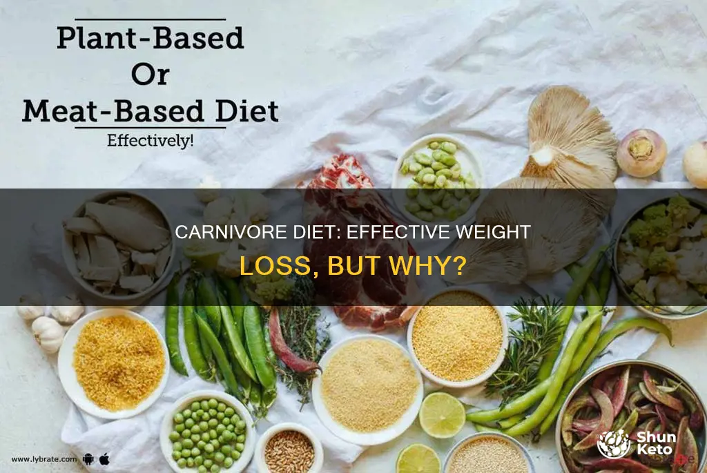 why is the carnivore diet so effective