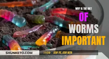 The Diet of Worms: A Historical Turning Point