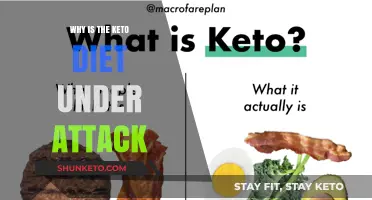 Keto Diet Under Fire: Uncovering the Criticisms and Controversies