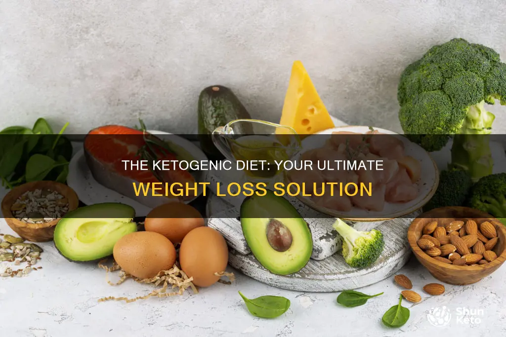 why is the ketogenic diet right for you