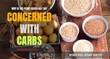 Plant-Based Diets: Carbs Are Not the Enemy