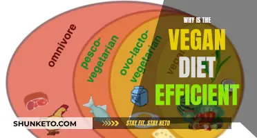 Vegan Diet: Efficient, Sustainable, and Healthy