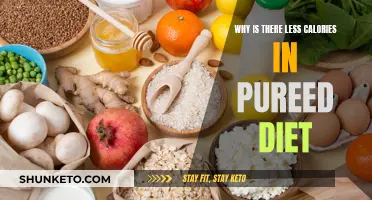 Pureed Diets: Less Calories, More Nutrition
