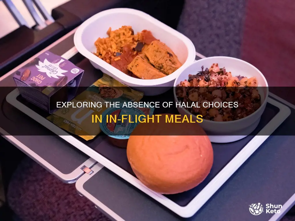 why is there no halal option for plane diet