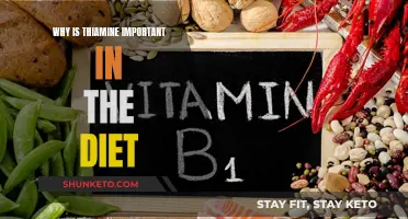 Thiamine: An Essential Nutrient for Overall Health