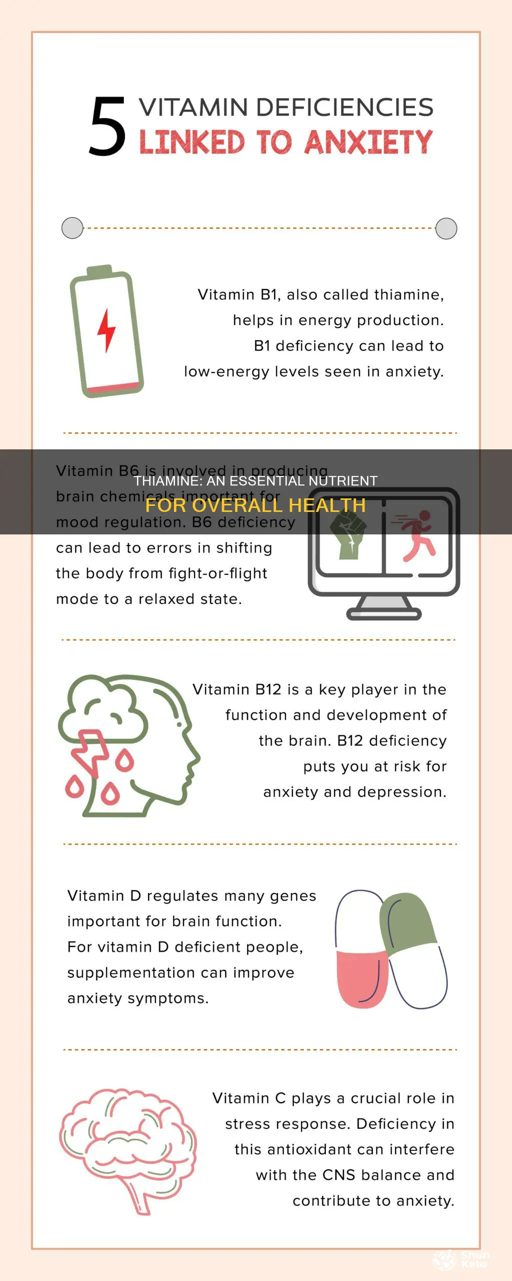 why is thiamine important in the diet
