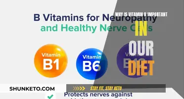 Vitamin B: Essential for a Healthy, Balanced Diet