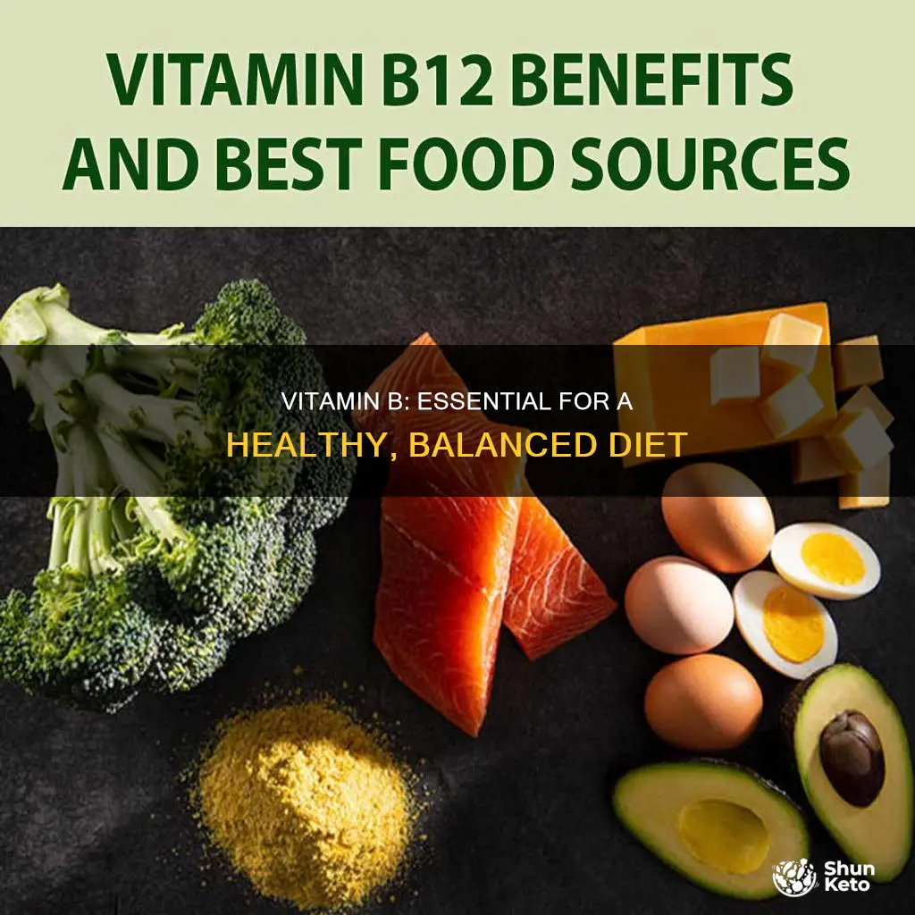 why is vitamin b important in our diet