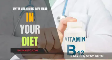 Vitamin B12: Essential for a Healthy Diet and Body