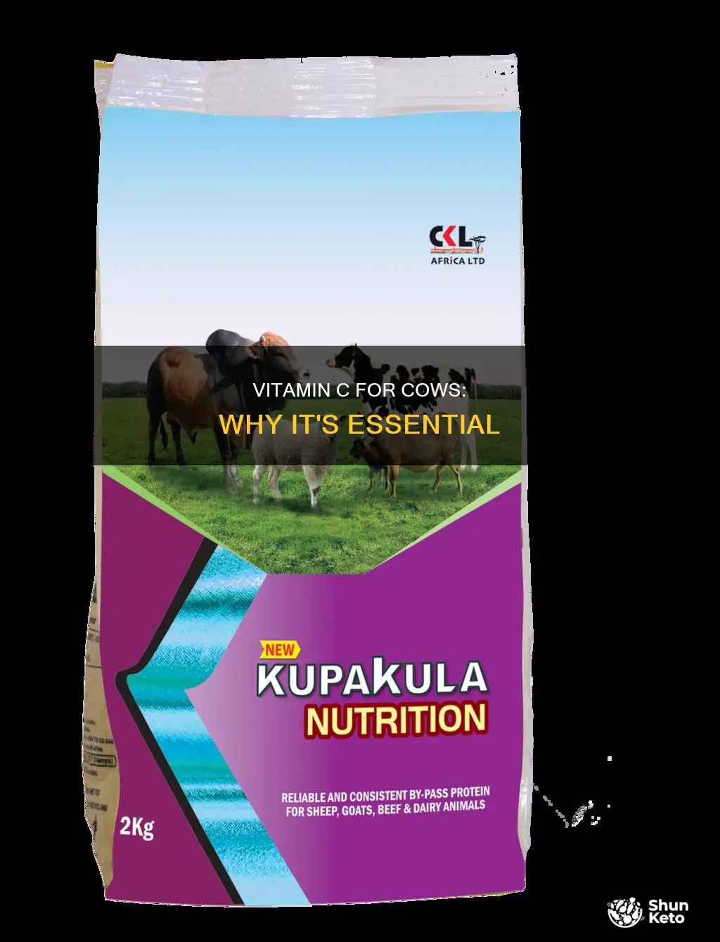why is vitamin c important to cows diet