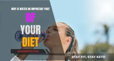 Hydration: Water's Vital Role in Your Diet