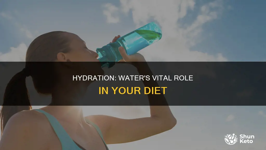 why is water an important part of your diet