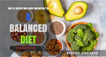 Hydration and Fibre: Keys to a Balanced Diet