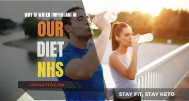 Hydration: Water's Vital Role in Our Health