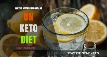 Hydration Essentials: Why Water is Crucial for Keto Diet Success