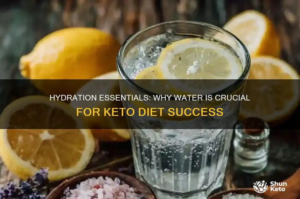 why is water important on keto diet