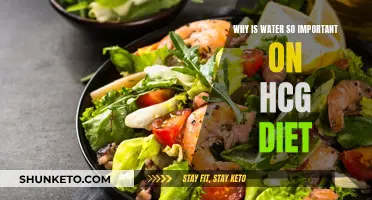 Hydration and the HCG Diet: Why Water is Key