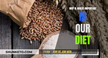 Wheat: A Nutritional Powerhouse in Our Diet
