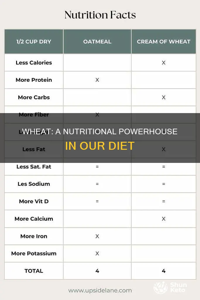 why is wheat important in our diet