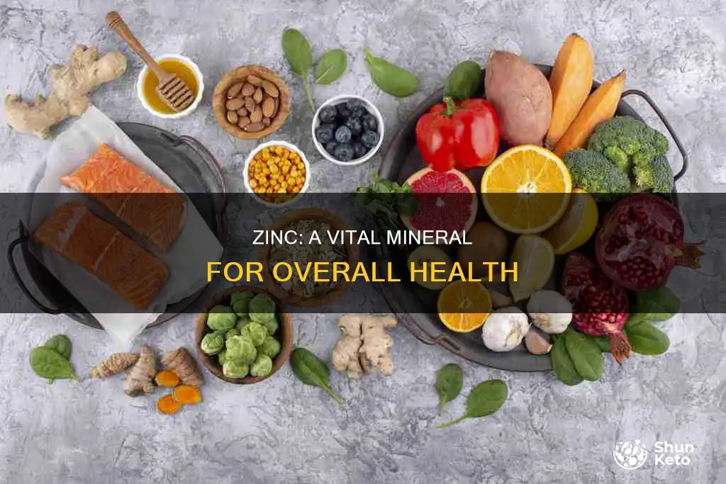 why is zinc important in diet