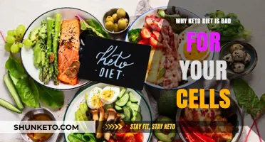 Keto Diet's Cellular Impact: Uncovering Hidden Dangers to Your Health