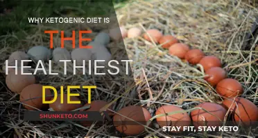 Ketogenic Diet: A Healthy, High-Fat Lifestyle