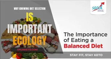 Understanding Diet Selection: Unlocking Ecology's Secrets
