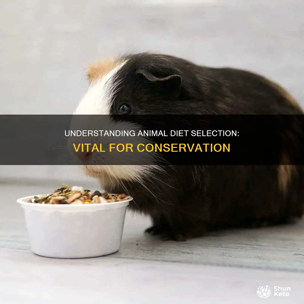 why knowing diet selection of animals is important