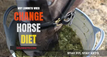 Laminitis Risk: Changing a Horse's Diet