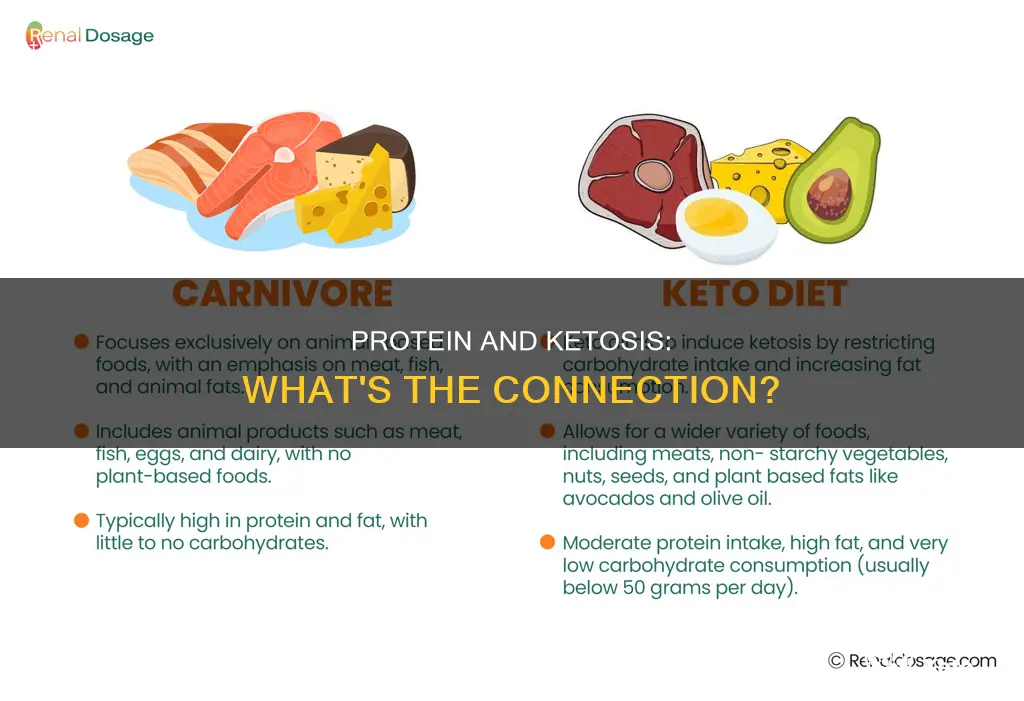 why limit protein in ketogenic diet